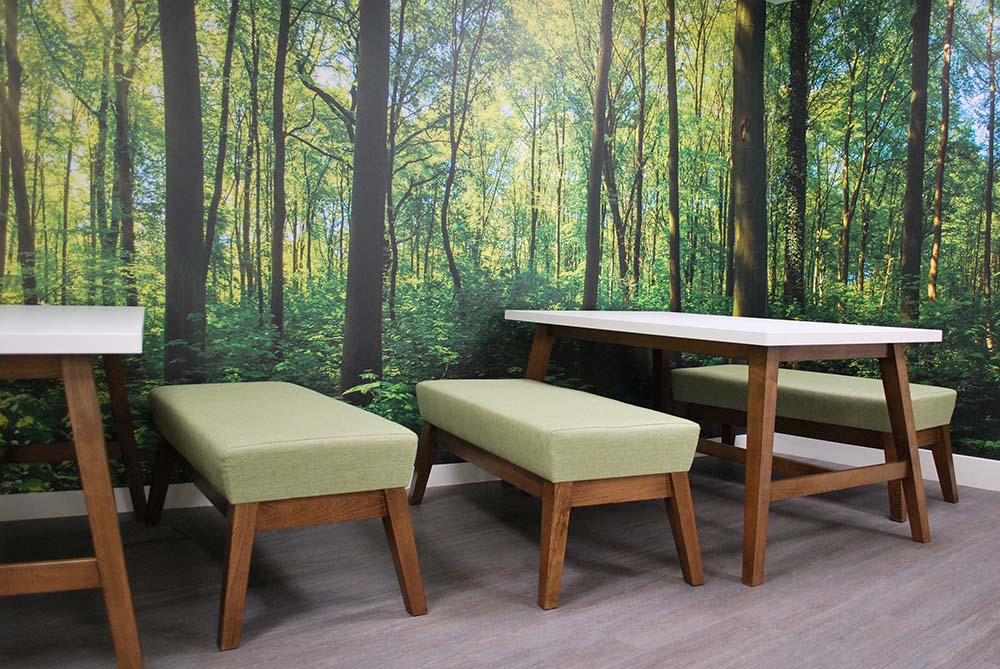 Breakout area with woodland wall graphic